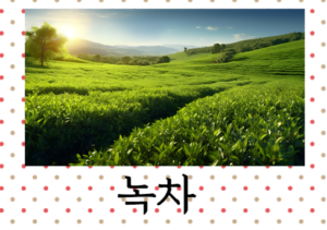 녹차