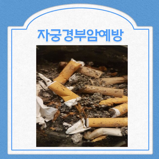 자궁경부암예방