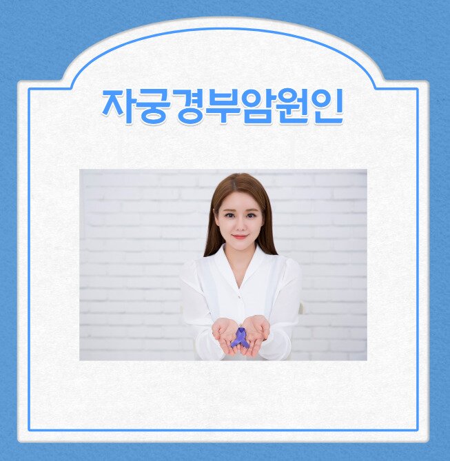자궁경부암원인