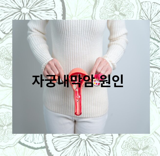 자궁내막암원인