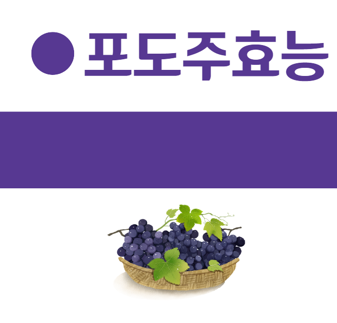 포도주효능