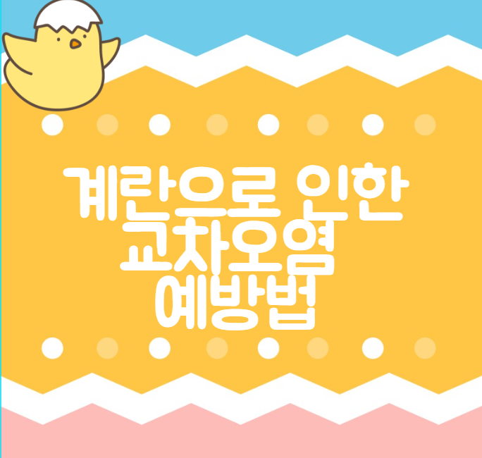 교차오염